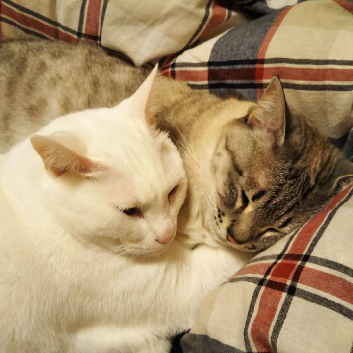 E1302bbb 0103 475e 9f34 f87d873ba586 1586534441343