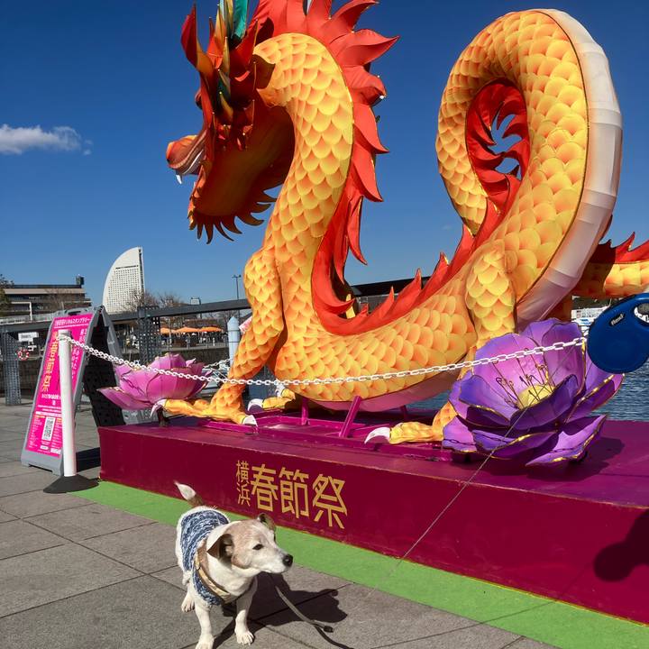 E1306200 8d36 49d0 b8c9 ab775f1c77c3 1769925296923