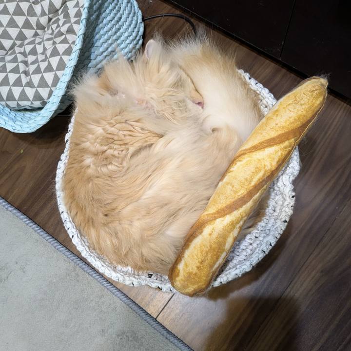 E13069d0 0aac 4671 a93d c4fa840a6124 1751550202956