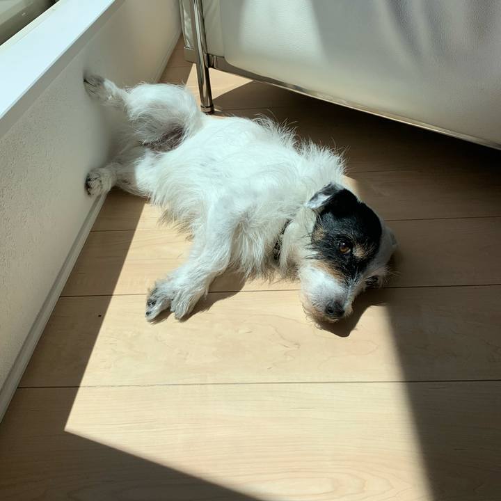 E1307446 fecf 4f31 a448 8accd3d2ba87 1752118097486