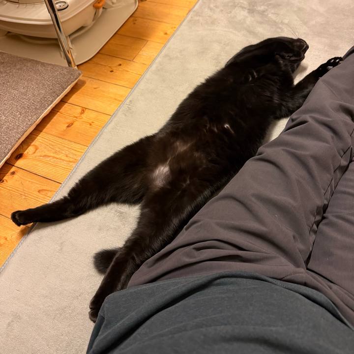 E1308b29 84f0 43e5 8be4 2ebee9900f92 1772369178071