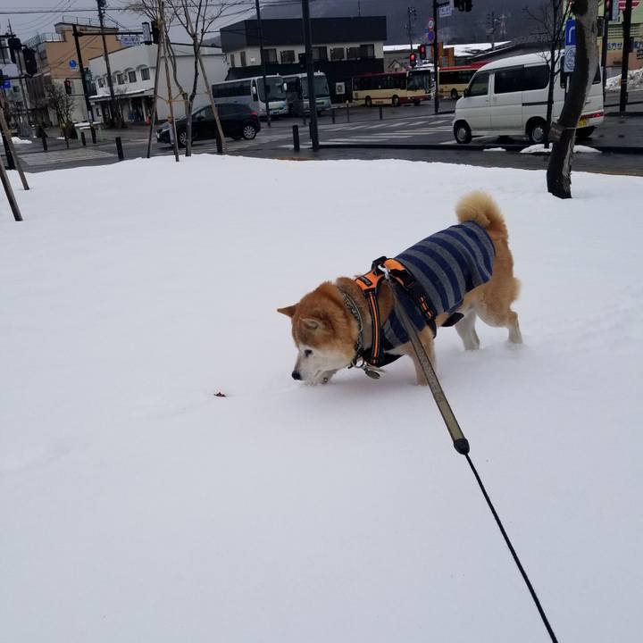 E130fecd f176 43b7 9611 f940e77dba8a 1706756202854