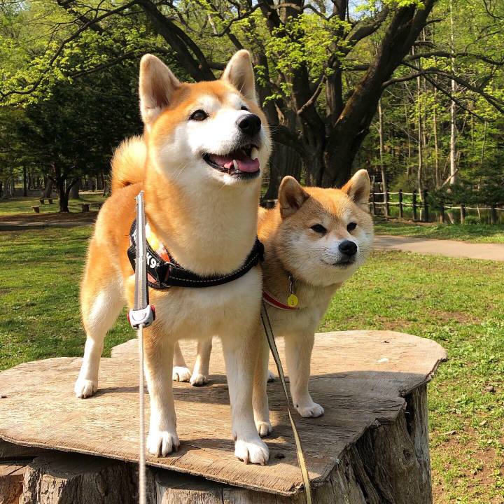 E1319d1c db6f 4378 8e0a 7e4ab5d0da2f 1557373089173