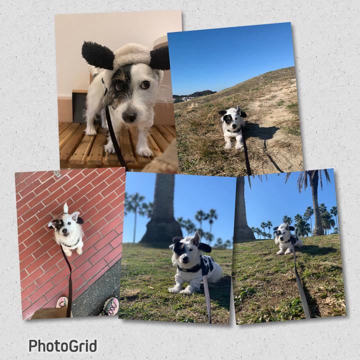 E1319f37 00f3 49ae 9727 2fc3b796078a 1701482217751