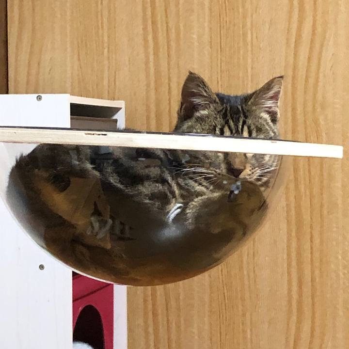 E131e121 9aa4 446e b128 460bae6eaefc 1740224665235