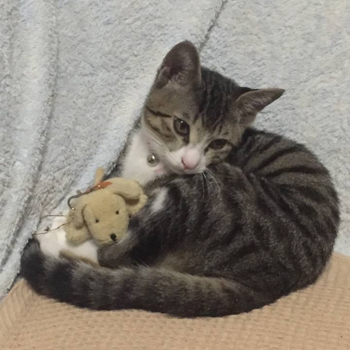 E131f07c b4dd 488d 8fd7 fb730463726b 1657671171937