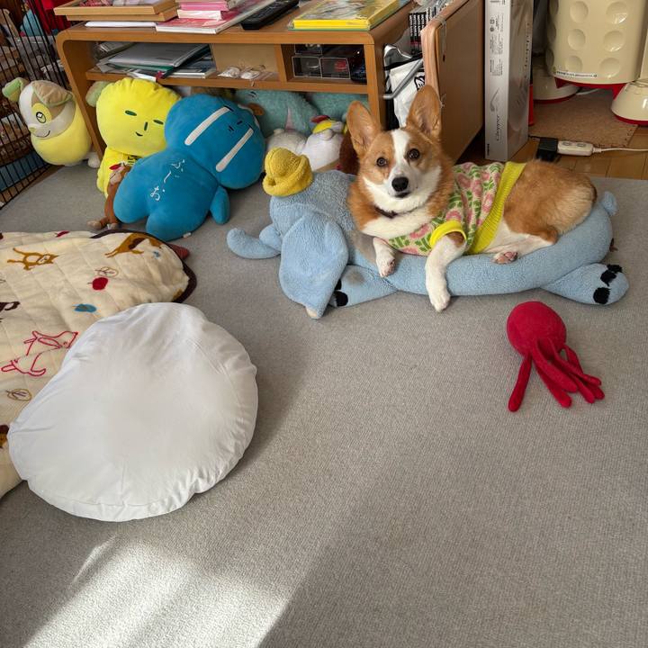 E131f919 5258 4986 8102 8085e29ac636 1769494316145