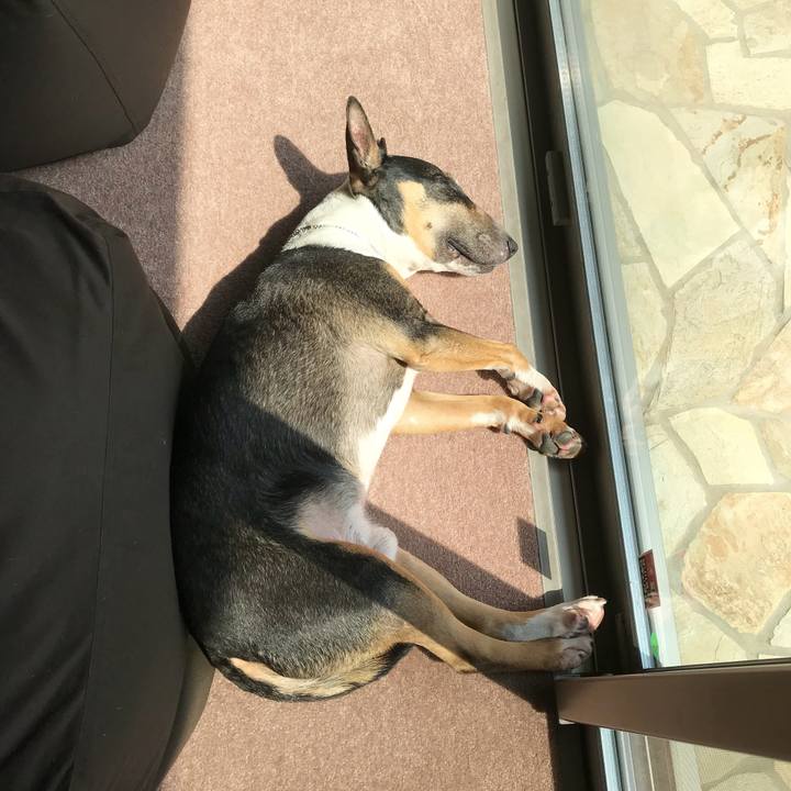 E132195b 1978 4781 b7ca c9bd6e63f480 1522731541084