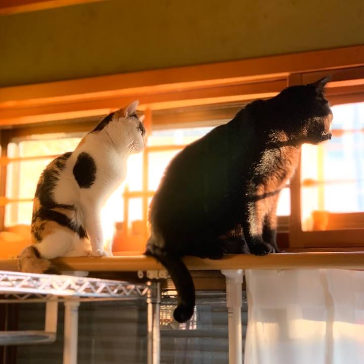 E13236b8 4cf7 4051 8e9e fbe4acbcc55a 1581472605082