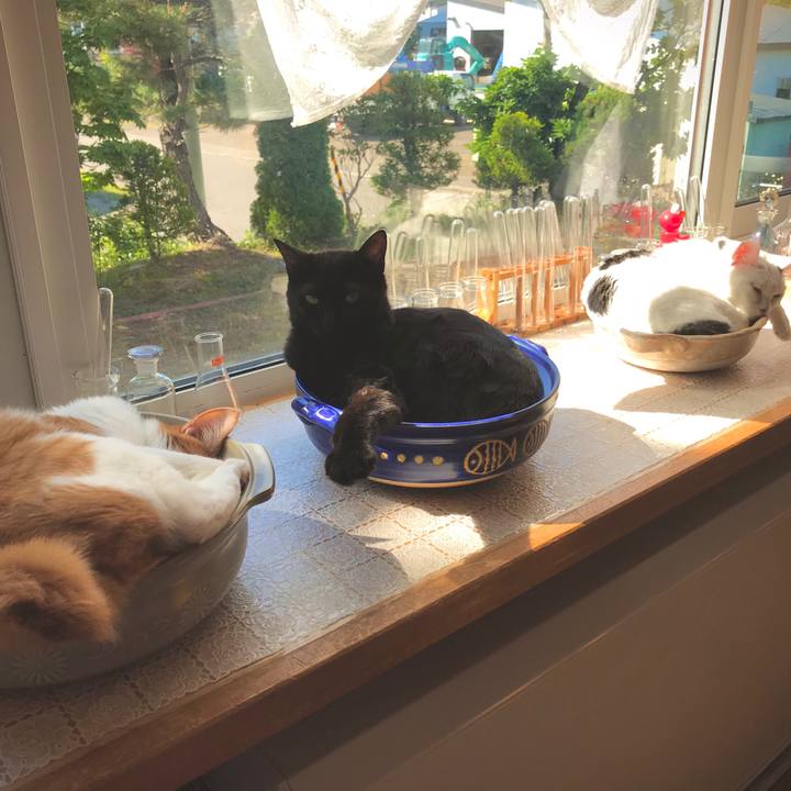 E1326ab4 ed0d 41db abee d510aa7fb762 1592088535107