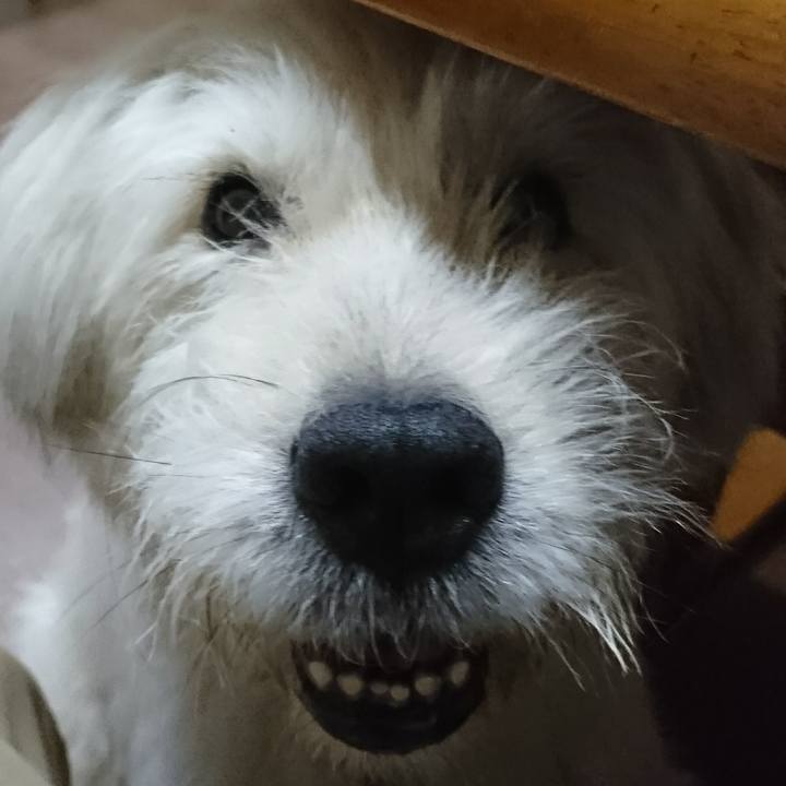 E1328491 56be 41af 9cc5 b28fe0c8332c 1601286493067