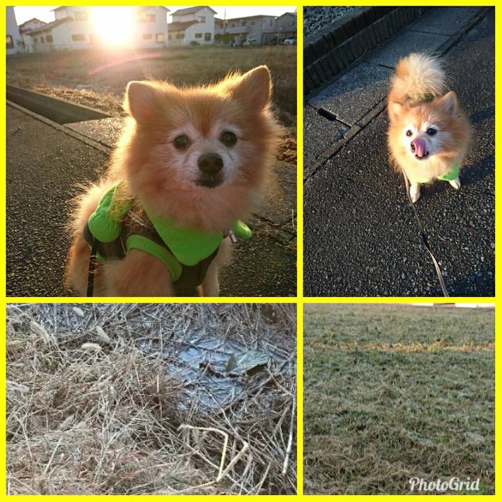 E1328ed4 1a86 4684 85e2 9b66d8135b75 1509921455236