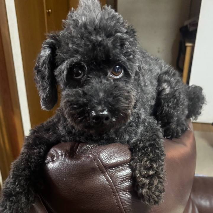 E132aa9b fb29 4a8f b7fc 0d75dcfab8aa 1725834249106