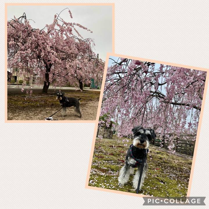 E132abd3 5bf8 4c3c 9325 3053b1bbbade 1650075584000