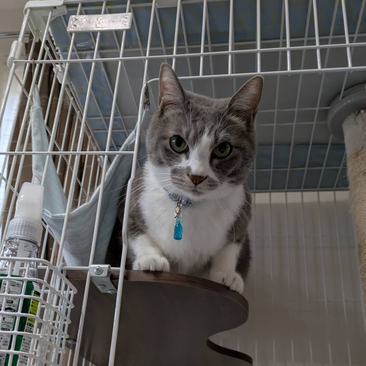 E132bb1c e280 43fd 99c5 441af287dfcd 1735525304352