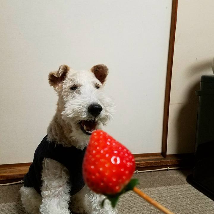 E132bd4c 0e93 421a a917 4d608a8c9f7d 1520510570524