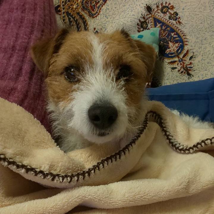 E132f7cd 80c6 4343 8ce7 f67136997780 1580031351211