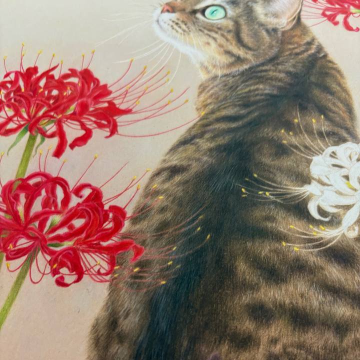 E132ff48 2f97 4c3e ae59 3fdaf6fbda46 1768714905667