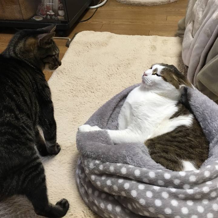 E1331ef9 3422 4ccd 98dd 2aa39b7cc536 1552702331030