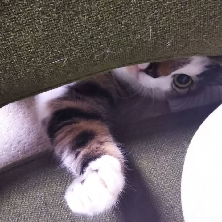 E1334d54 a20f 443f 9de6 da82c0451312 1607865814446