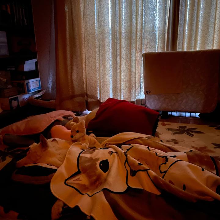 E133501d 5d2d 417e 93f0 0f6ebbb32678 1681676596385