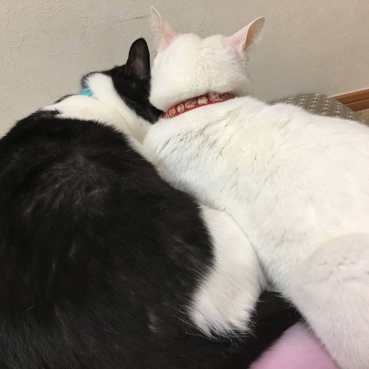 E13354d1 ea3d 4950 adac ef21ccba84e8 1510587386602