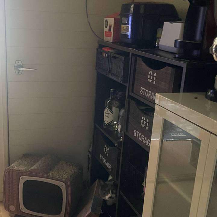 E1338646 9bd0 4740 8c3e 3575eeee7099 1712969942253