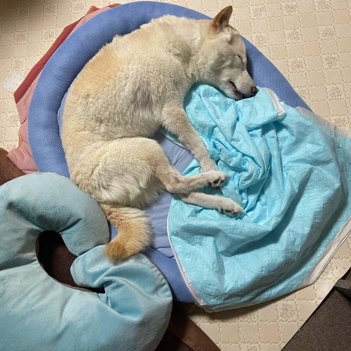 E1338bbb 793b 4c1b 9dc2 5452a14da0f8 1664885730688