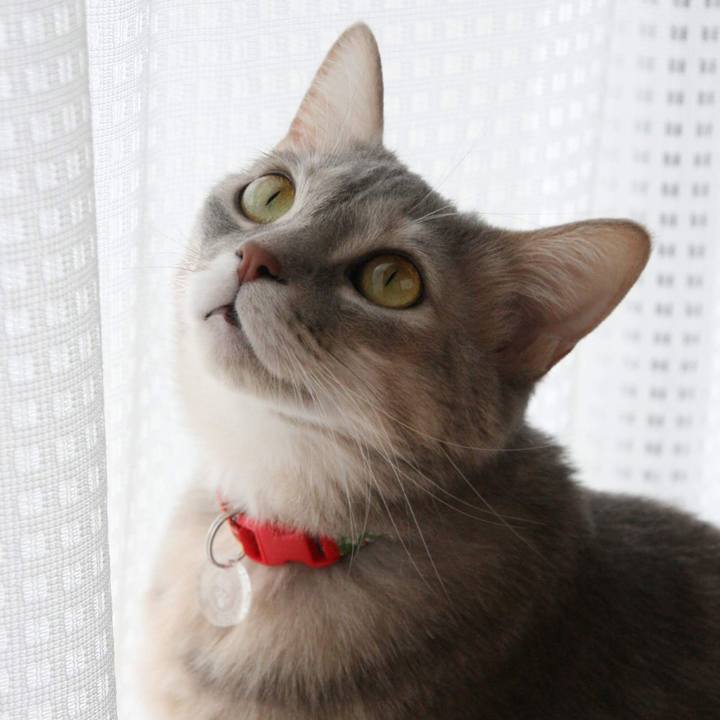 E1339878 7306 46ab b5c2 8f04401244dd 1546741569520