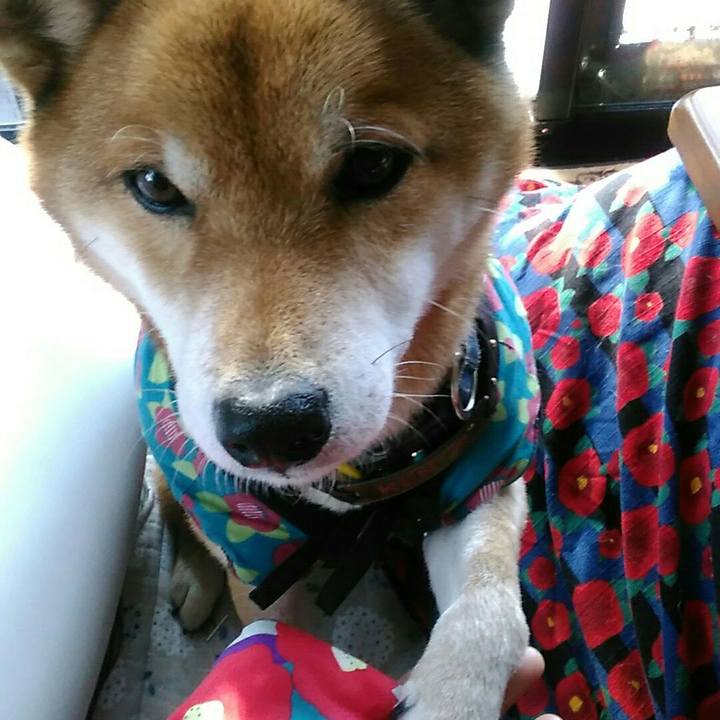 E133c2aa 7155 417b 81ca 274bd0f5fc19 1578274691648