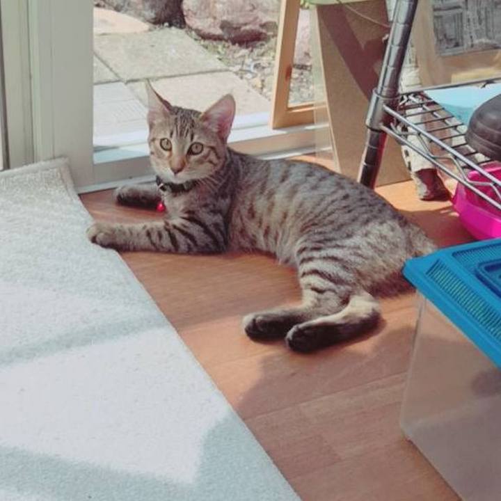 E133dc6c f606 471f bc2d b769e3b7e299 1568210472463