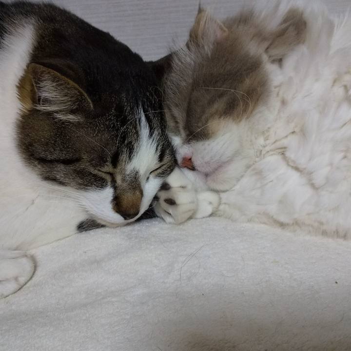 E1340a9c 059e 48e2 a5e7 e63390e594f6 1650109349704