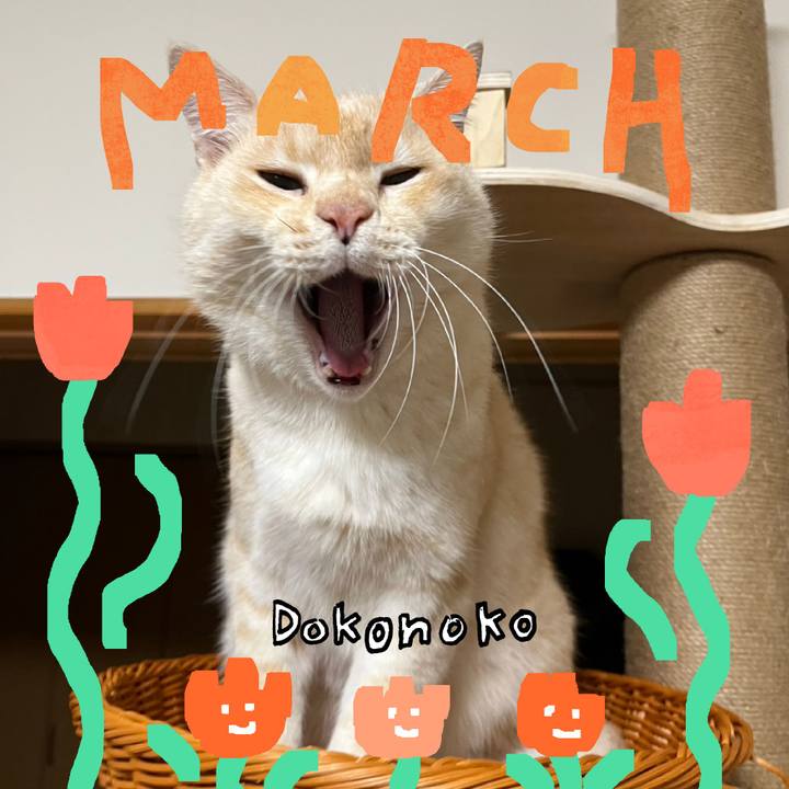 E1341bfa 621d 4f94 bf7f e7c884ef3ff4 1741129908972