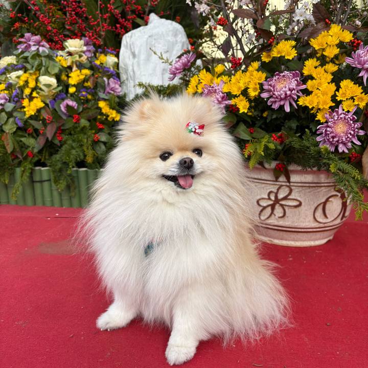 E1346b7d 0b24 482b 8d0f 2bdbac4d72af 1767581863898