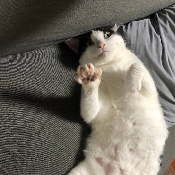 E1347535 6f04 4183 bf9c 20888efe56b0 1565320348936