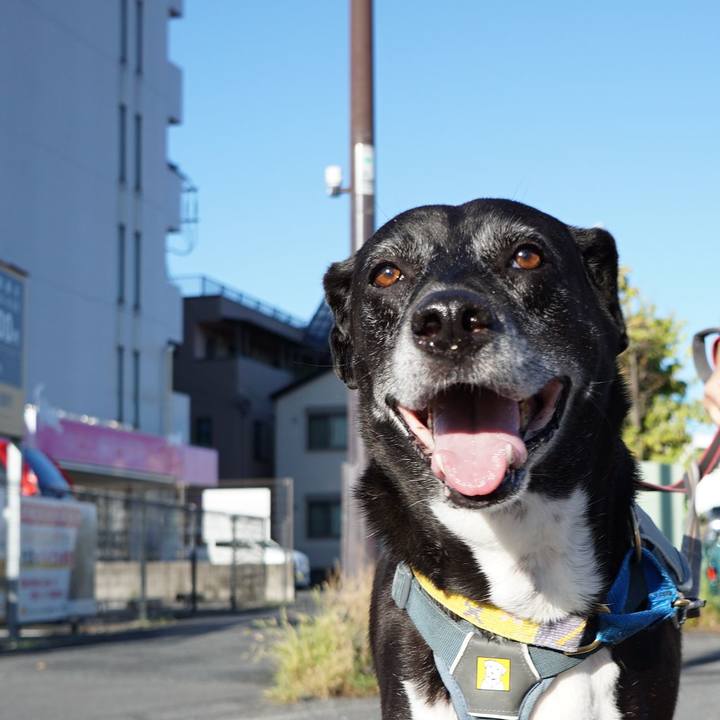 E13481fb 27f9 4fe0 bbd3 6b4d15e2e3bd 1757116411903