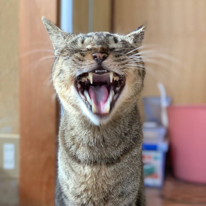 E13482c6 2e26 4214 820c 9f5c0288a6a7 1576114582587