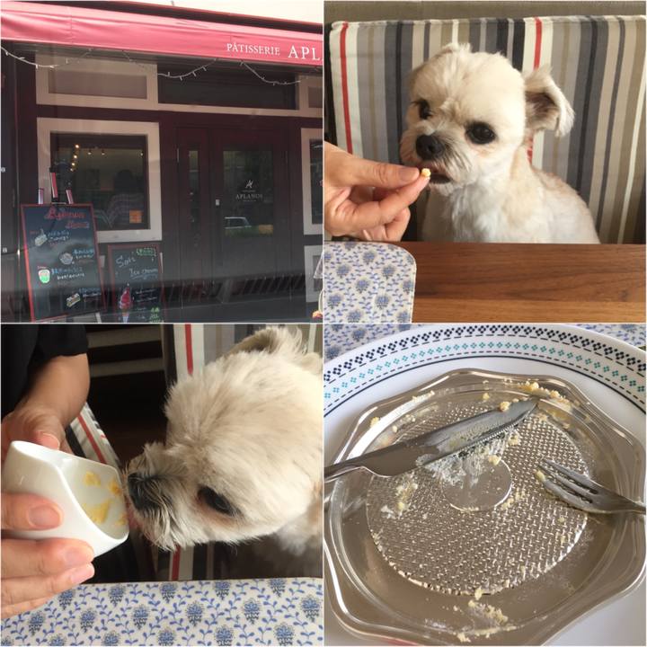 E1349435 8556 4c6b a620 de3a8ce9a2c6 1532852525883