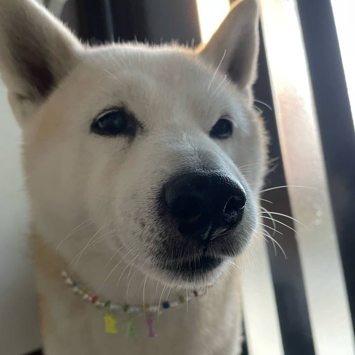 E134d026 b136 4fde b84f 090d2dfa845f 1666777401872