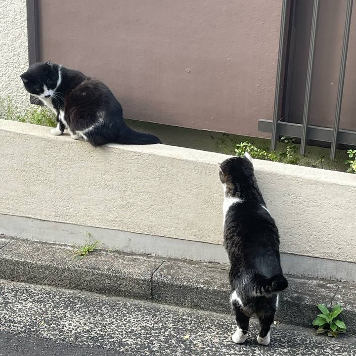 E134e331 78e1 4a59 97d5 ff023ac2c271 1681289512521