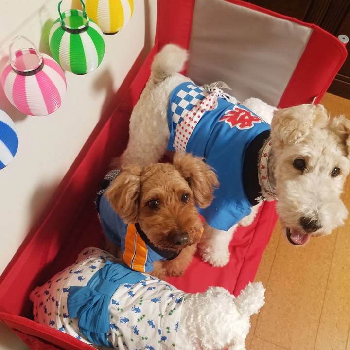 E134e553 b6ea 41ab af39 eb857997786e 1565908796335