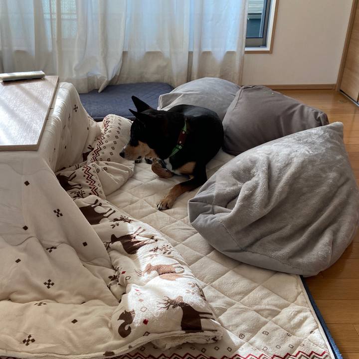 E134ee20 bf0c 4740 918e ccdb61e1ec9f 1634701112327