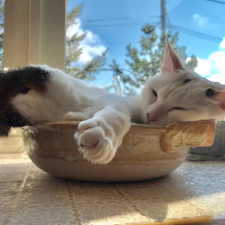 E1351076 7480 4e5d b972 2b73a09d86df 1552796681754