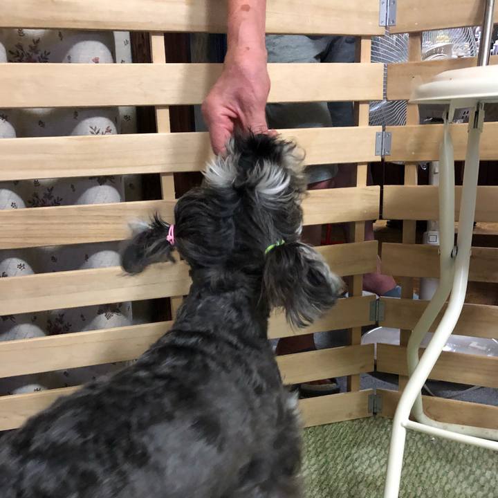 E13558d6 519d 41a1 88ed eb2f0100ac5c 1531913103385