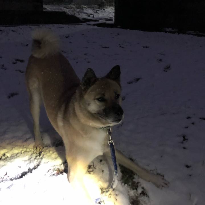 E135cc87 c8f8 4144 87be 956725c06b53 1613560418697