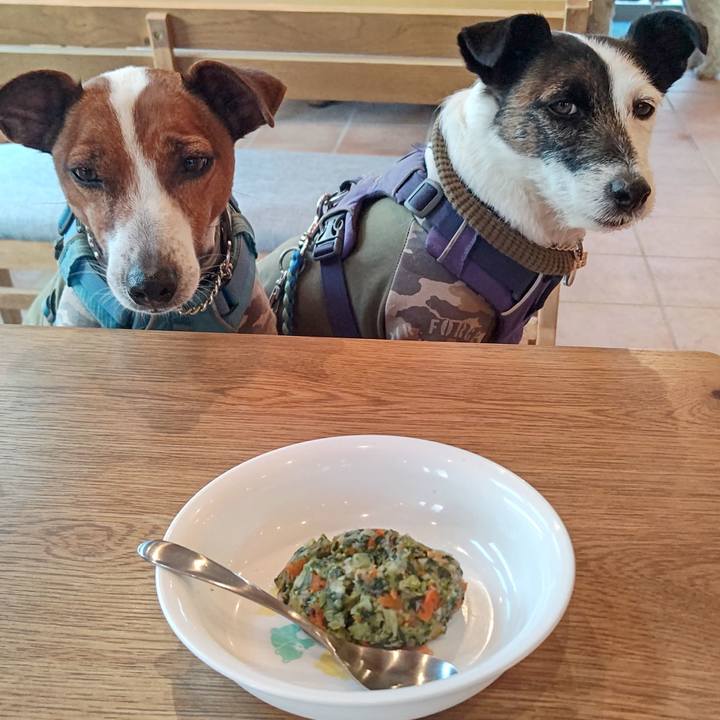 E13646c1 0aec 4461 8939 9f53290e403d 1675500451711