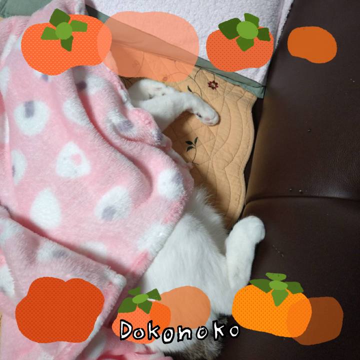 E13652ba 4062 4272 aa8a c611fca6742c 1761993867758