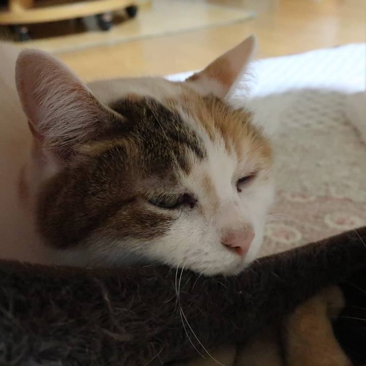 E1365eaa 7983 424d ba27 4889523a9dc1 1551789037985