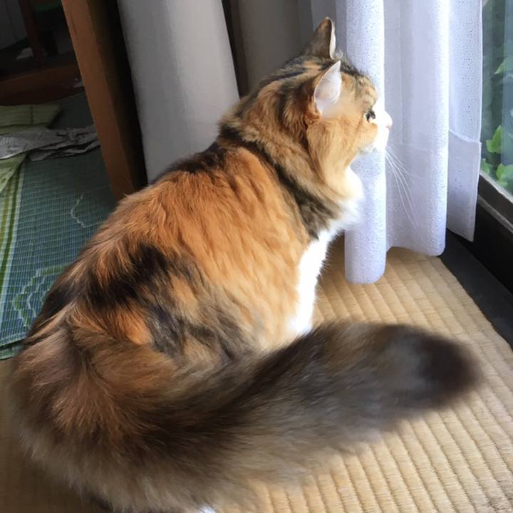 E13676f9 e05e 4e13 a25e b0e24e16079b 1558561199109