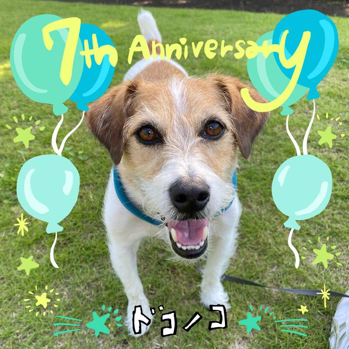 E1369026 ab6d 44c2 acb3 a73d025337fa 1685961568890